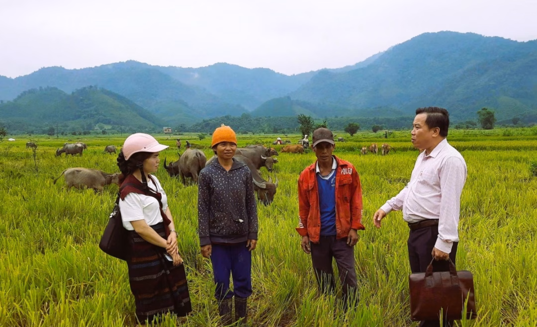 Đồng vốn chính sách đang góp sức thay đổi diện mạo kinh tế tại các vùng đặc biệt khó khăn của tỉnh Quảng Trị.