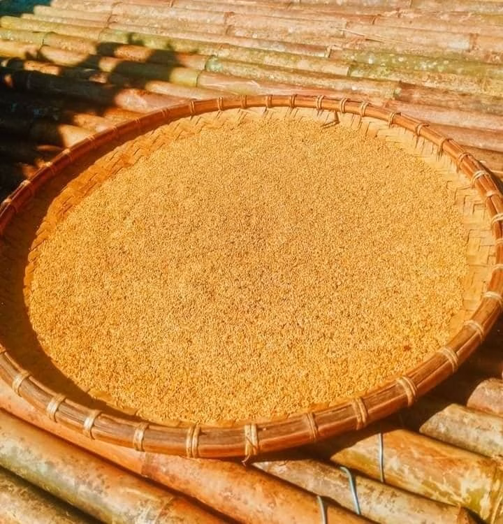 Hạt khô mác púp là nguyên liệu chính để tạo nên món thạch quý hiếm.